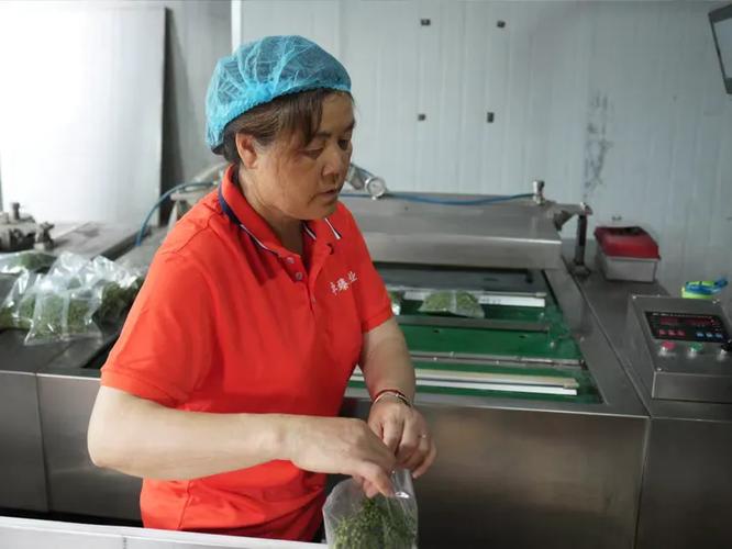 金爱维王农副产品加工厂掠影